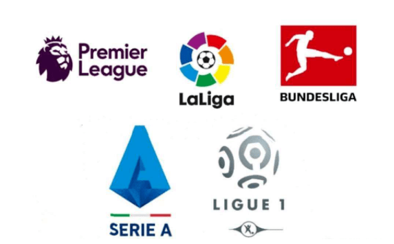 迅速而准确 迅速而准确